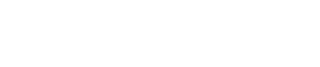 Brainformatik